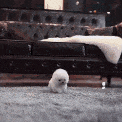 Acid GIFs, July 17 (25 gifs)