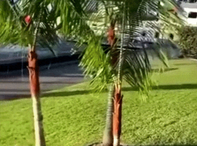 Acid GIFs, July 17 (25 gifs)