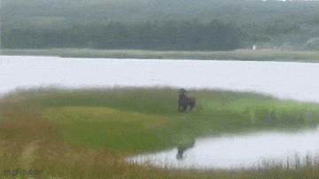 Acid GIFs, July 17 (25 gifs)