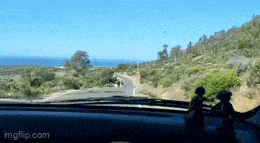 Acid GIFs, July 17 (25 gifs)