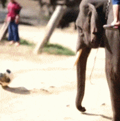 Acid GIFs, July 17 (25 gifs)