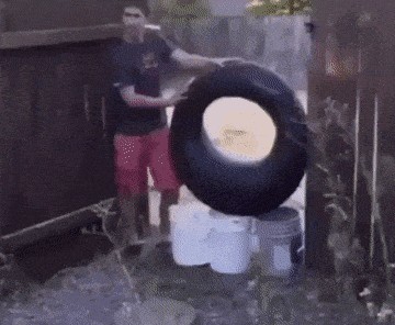 Acid GIFs, July 17 (25 gifs)