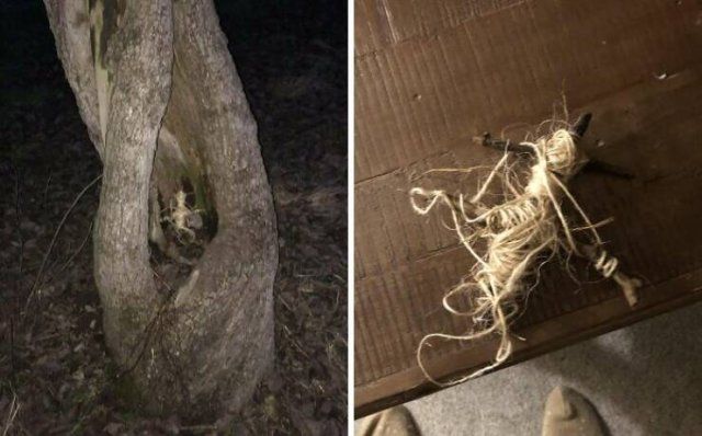 Creepy Finds In The Forest (26 pics)
