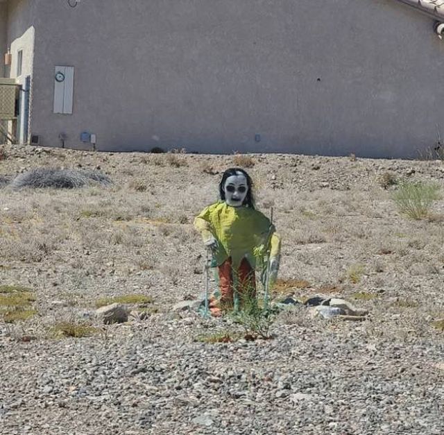 What Is Going On Here? (31 pics)