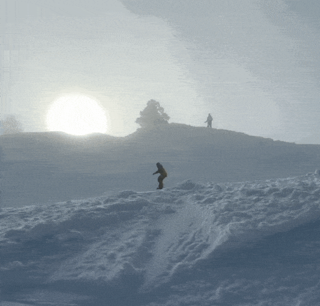 Acid GIFs, July 18 (25 gifs)