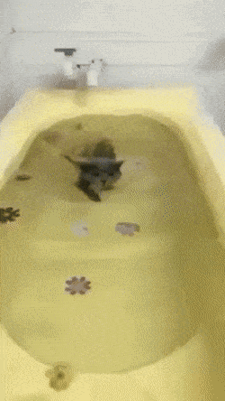 Acid GIFs, July 18 (25 gifs)