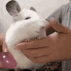 Acid GIFs, July 18 (25 gifs)