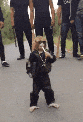 Acid GIFs, July 18 (25 gifs)