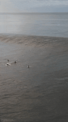 Acid GIFs, July 18 (25 gifs)