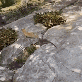 Acid GIFs, July 18 (25 gifs)