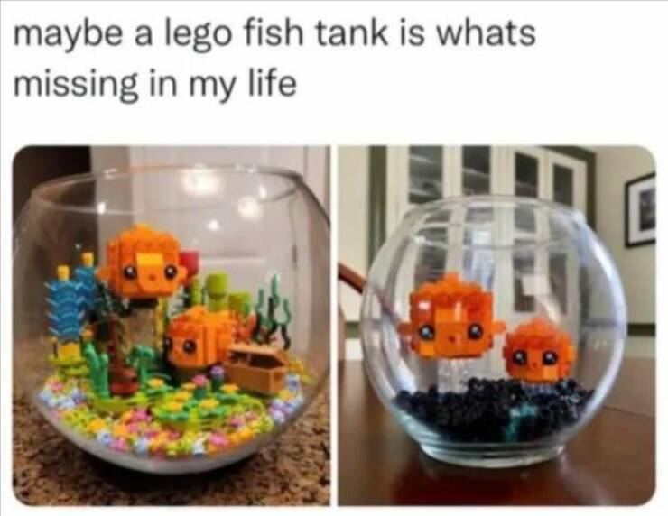 Daily Pictures. Part 2 (54 pics)