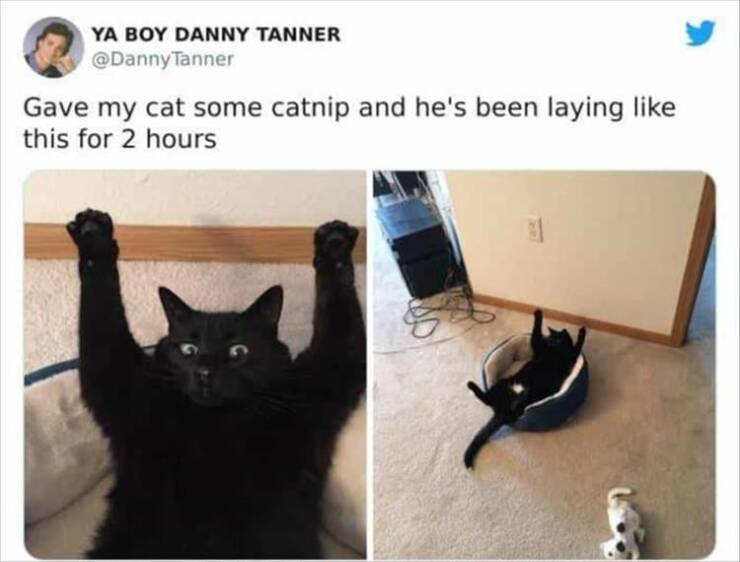 Daily Pictures. Part 2 (54 pics)
