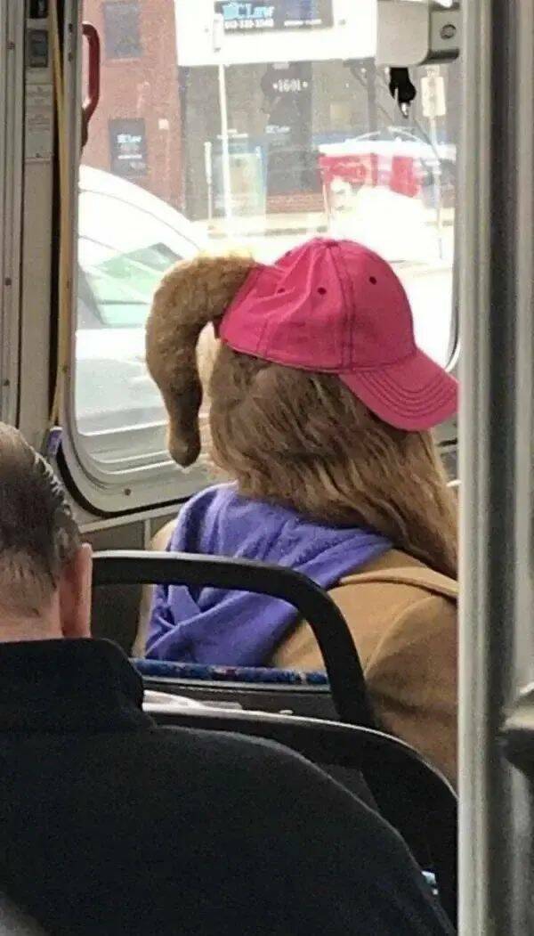 Daily Pictures. Part 2 (54 pics)