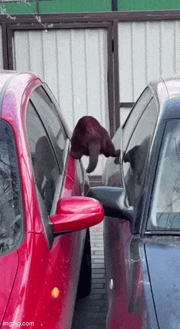 Acid GIFs, July 21 (25 gifs) Acid GIFs, July 21 (25 gifs)