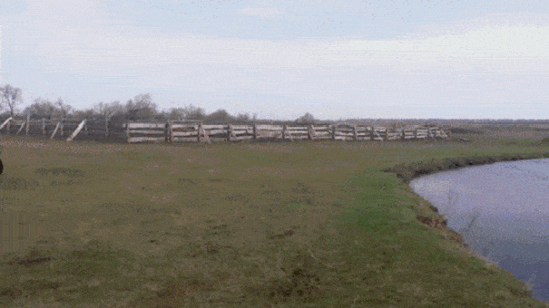 Acid GIFs, July 21 (25 gifs) Acid GIFs, July 21 (25 gifs)