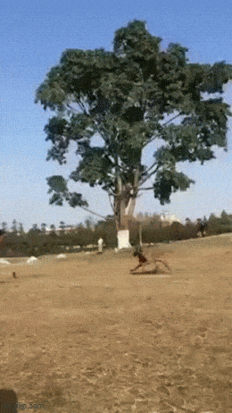 Acid GIFs, July 21 (25 gifs) Acid GIFs, July 21 (25 gifs)