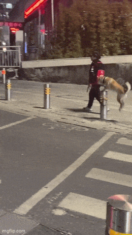 Acid GIFs, July 21 (25 gifs) Acid GIFs, July 21 (25 gifs)