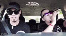 Acid GIFs, July 21 (25 gifs)