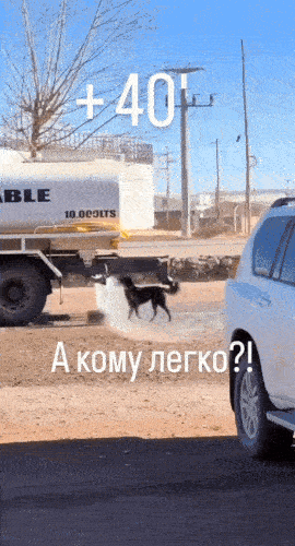Acid GIFs, July 21 (25 gifs) Acid GIFs, July 21 (25 gifs)