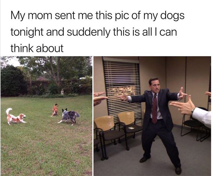 Daily Pictures. Part 2 (62 pics)