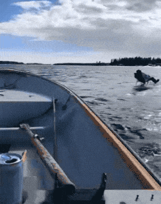 Acid GIFs, July 22 (25 gifs)
