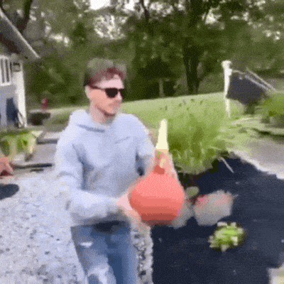 Acid GIFs, July 22 (25 gifs)