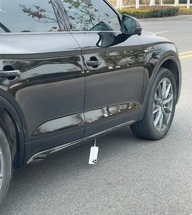 Weird Finds And Situations (35 pics)