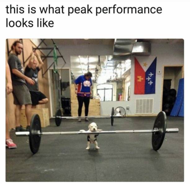 Daily Pictures. Part 2 (53 pics)