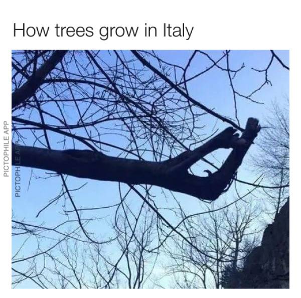 Daily Pictures. Part 2 (53 pics)