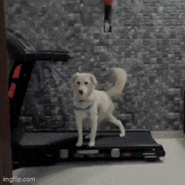 Acid GIFs, July 23 (25 gifs)