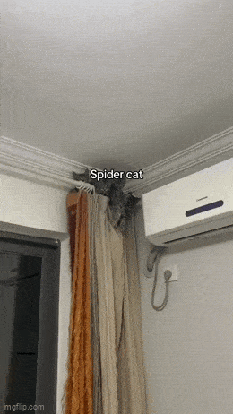 Acid GIFs, July 23 (25 gifs)