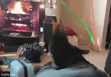 Acid GIFs, July 23 (25 gifs)