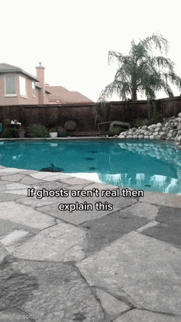 Acid GIFs, July 23 (25 gifs)