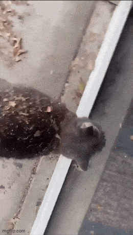 Acid GIFs, July 23 (25 gifs)