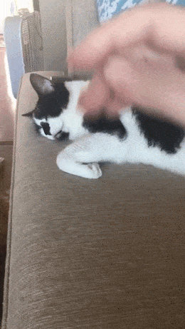 Acid GIFs, July 23 (25 gifs)