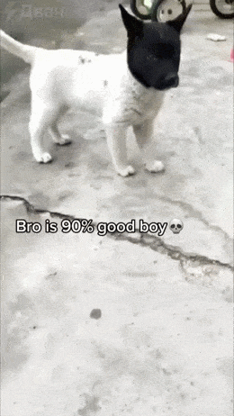 Acid GIFs, July 23 (25 gifs)