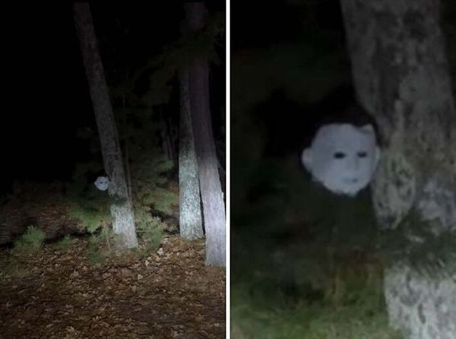 Scary Finds In The Forests (24 pics)