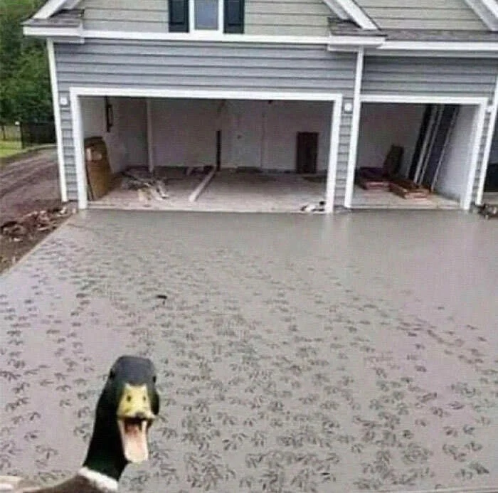 What Is Going On Here? (15 pics)