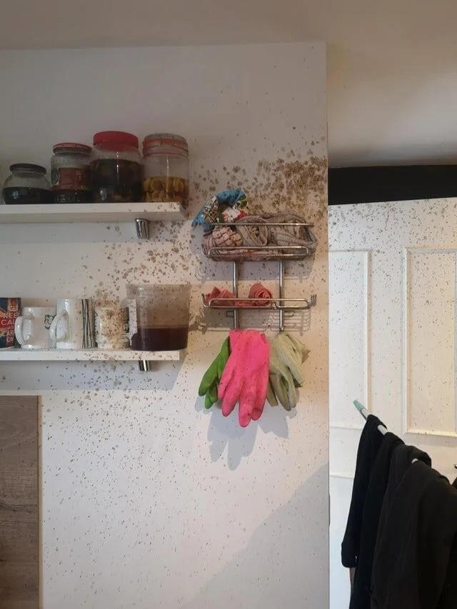 Bad Days Happen (16 pics)