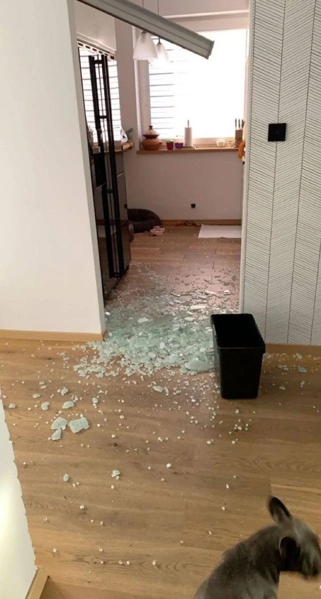 Bad Days Happen (16 pics)