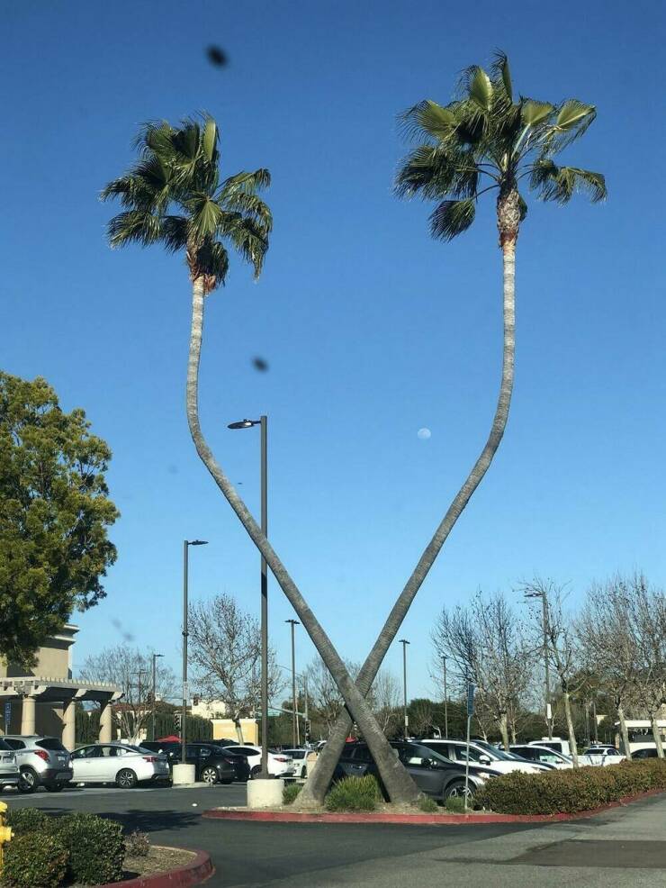 Daily Pictures. Part 1 (62 pics)