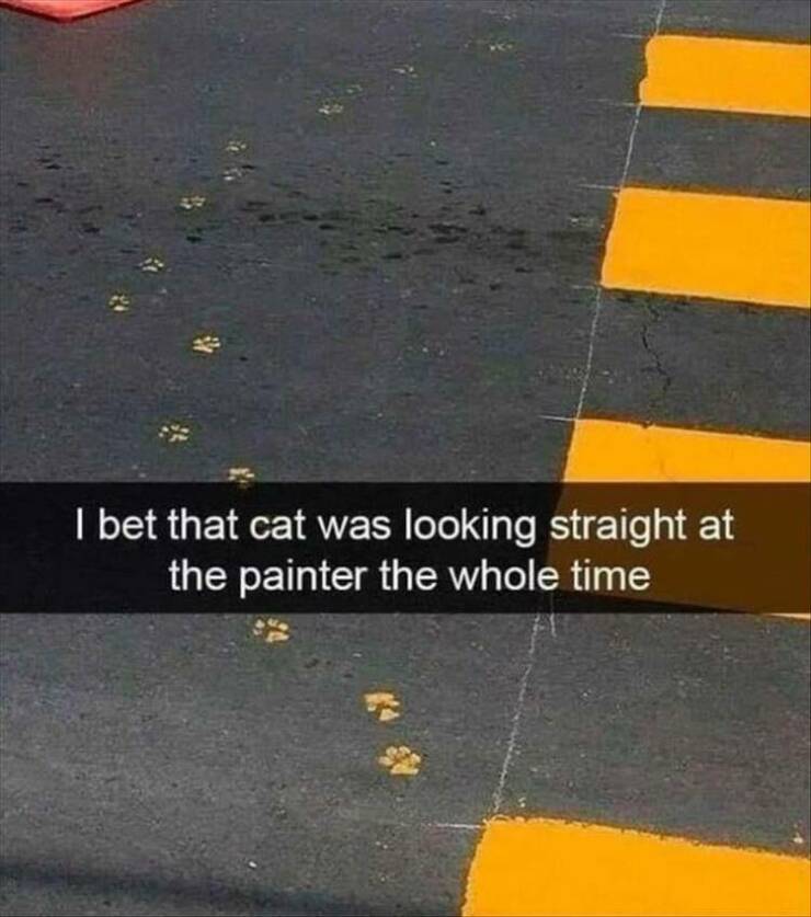 Daily Pictures. Part 2 (61 pics)