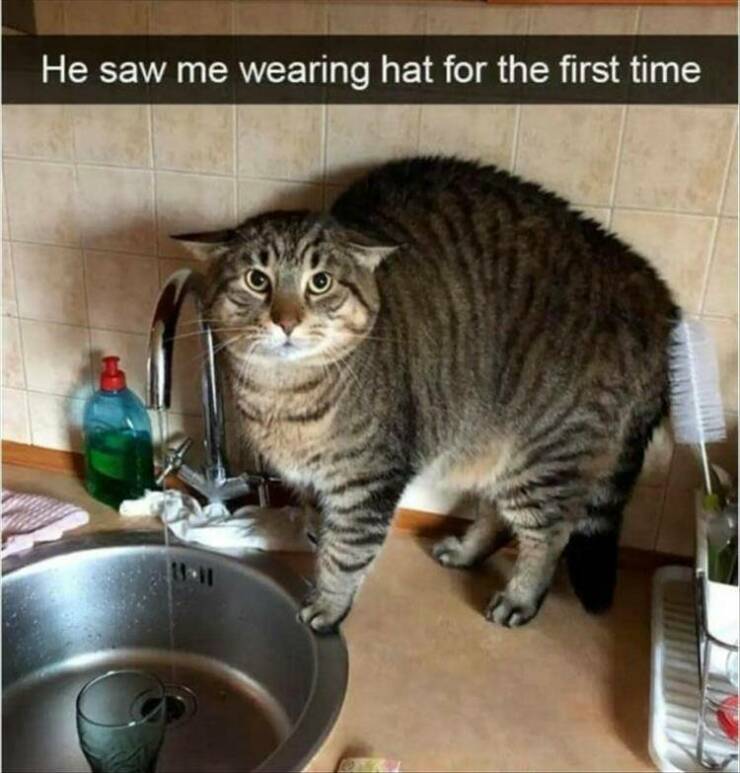 Daily Pictures. Part 2 (61 pics)