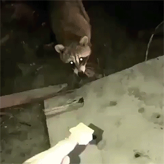 Acid GIFs, July 24 (25 gifs) Acid GIFs, July 24 (25 gifs)