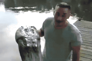 Acid GIFs, July 24 (25 gifs) Acid GIFs, July 24 (25 gifs)