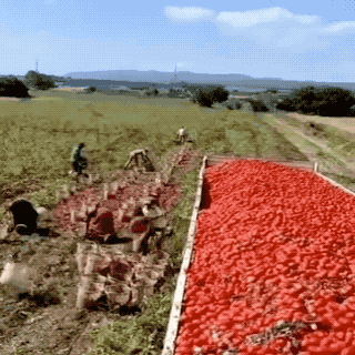 Acid GIFs, July 24 (25 gifs) Acid GIFs, July 24 (25 gifs)