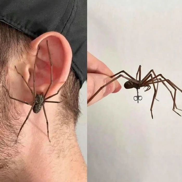 Really Weird Designs (22 pics)