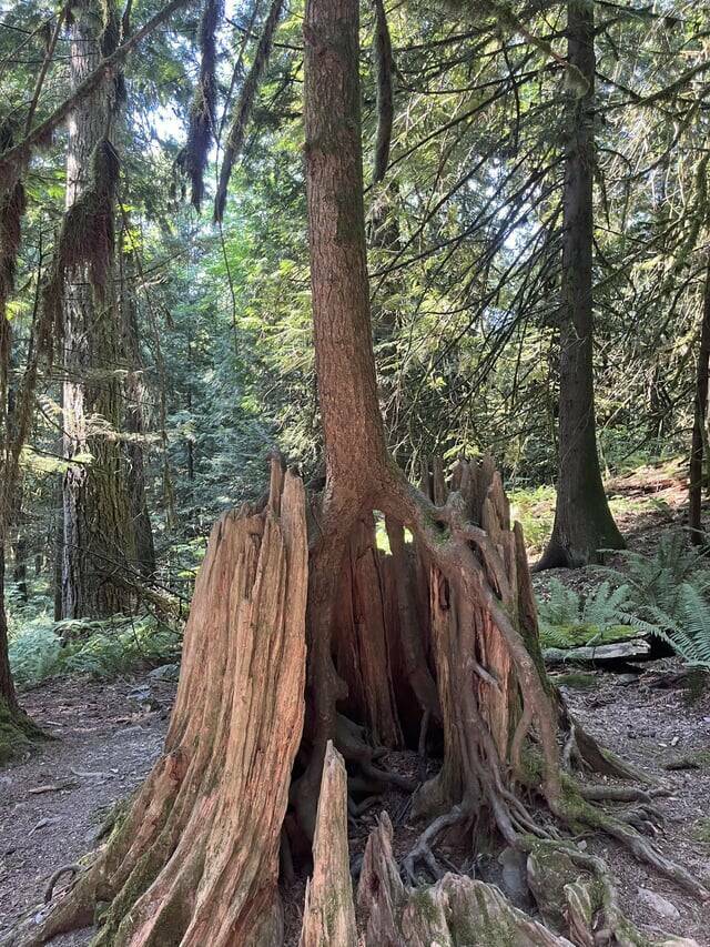 Daily Pictures. Part 1 (61 pics)