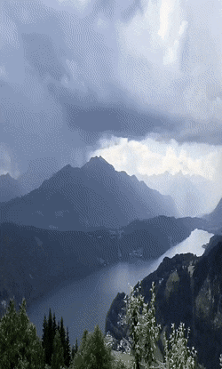 Acid GIFs, July 25 (25 gifs)