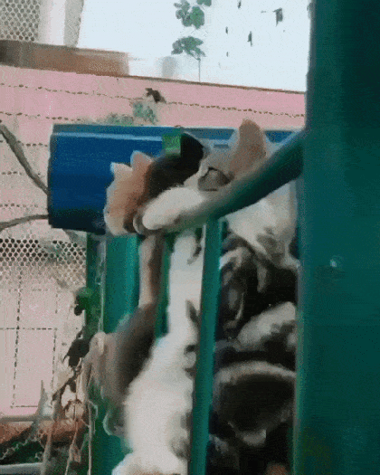 Acid GIFs, July 25 (25 gifs)